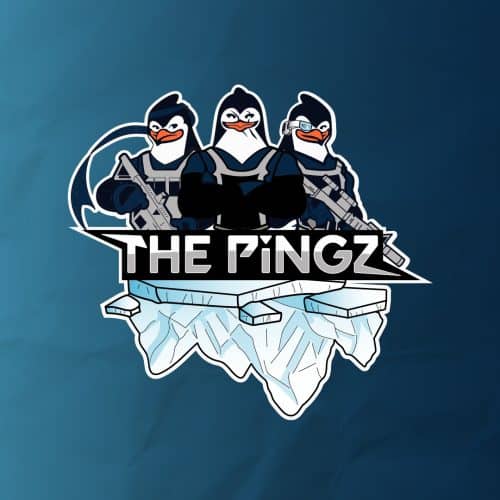 The Pingz - Project 0